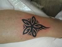 ImagenTatooGanso 436