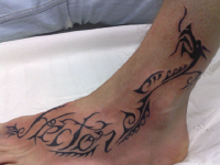 ImagenTatooGanso 31