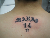 ImagenTatooGanso 335