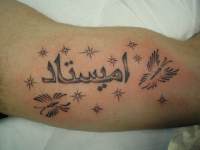 ImagenTatooGanso 383