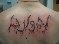 ImagenTatooGanso 388