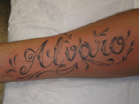 ImagenTatooGanso 435