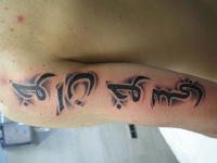 ImagenTatooGanso 437