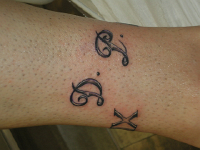 ImagenTatooGanso 440