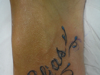 ImagenTatooGanso 451