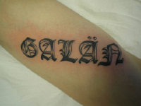 ImagenTatooGanso 463