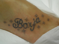 ImagenTatooGanso 485