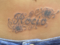 ImagenTatooGanso 486