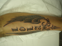 ImagenTatooGanso 499